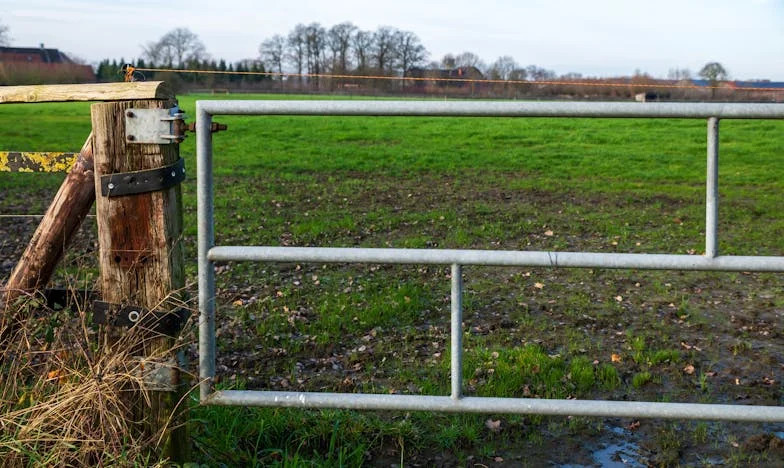 „Macie miesiąc na znalezienie sobie innego mieszkania. Od teraz będę mieszkać sama”: Historia matki, która musiała wyrzucić z domu swoje dwie córki