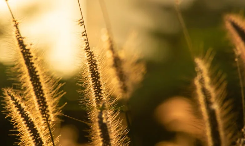 Mąż wyszedł po chleb i nie wrócił. Po latach odkryłam prawdę, która rozdarła mi serce na nowo.