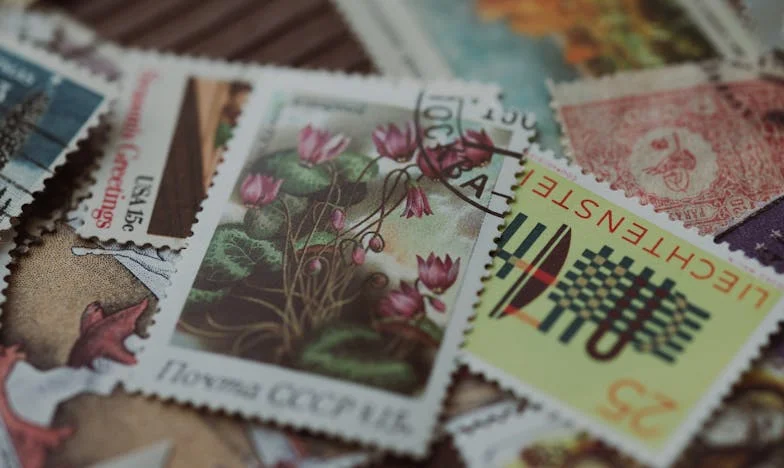 Między matką a ciotką – kiedy rodzina boli najmocniej