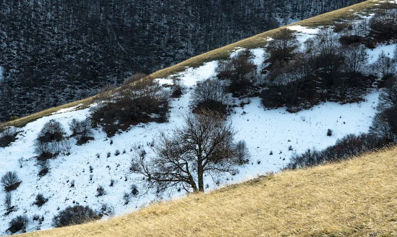 Miłość bez prawa do bliskości: Historia Agnieszki Kowalskiej