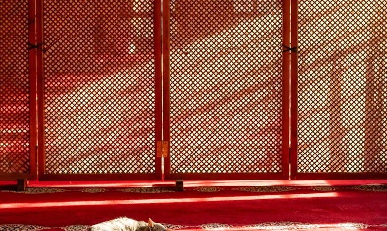 Mój rozwód uratował mi życie – historia Ireny z Warszawy