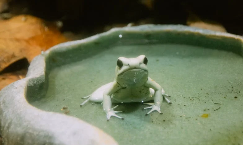 Moja córka poprosiła mnie, bym zajęła się wnukiem: Rodzinne sekrety, które zmieniły wszystko