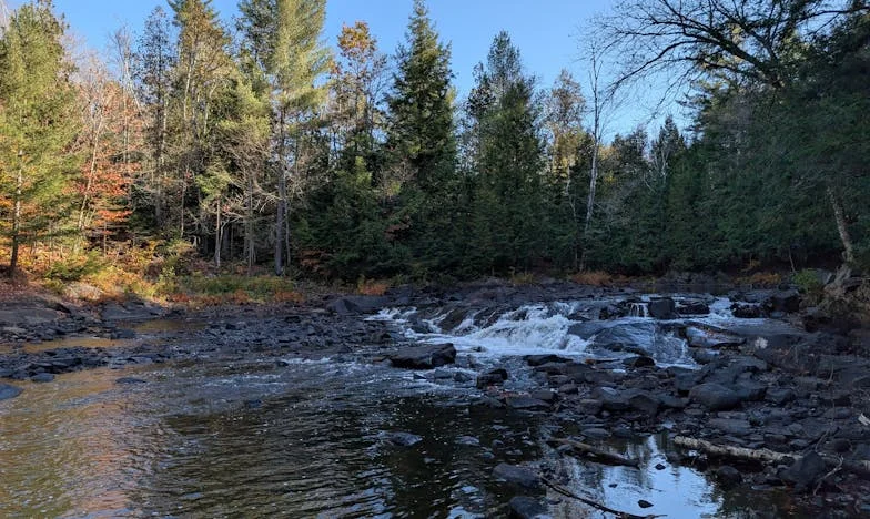 Moja teściowa chce nowe życie, ale ja jej nie pozwalam: Wyznanie zięcia z Krakowa