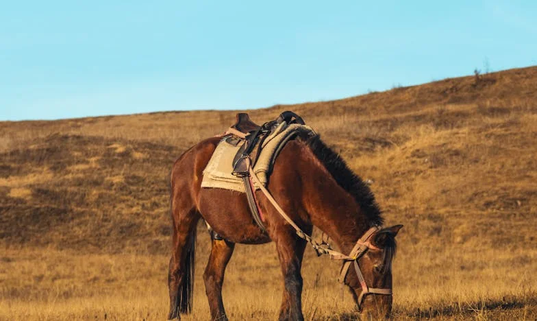 Mówili, że nie ma szans w ceremonii… A ona przyciągnęła wszystkie spojrzenia!