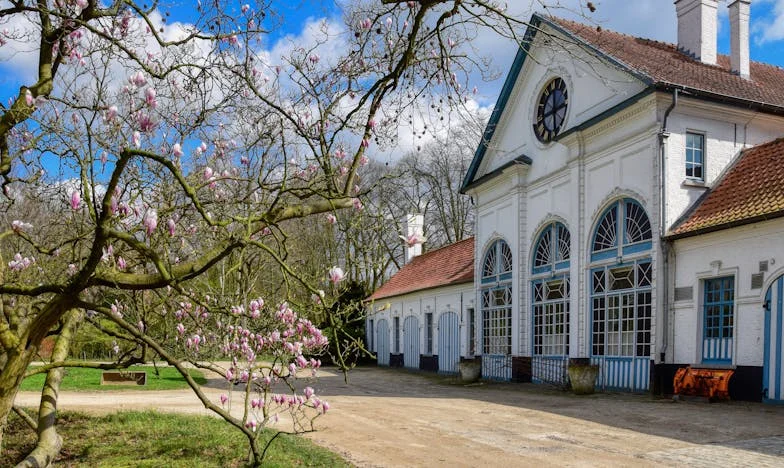 Nie będzie wesela – historia o wyborach, których nie da się cofnąć