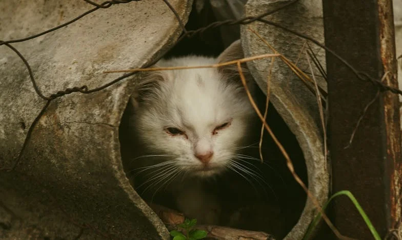 Nie pozwolę mamie zamienić mojego życia w koszmar – wiem, że sama dam radę!