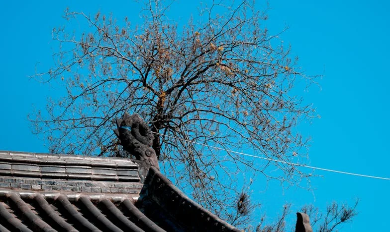 Nieznajoma z łzami w oczach wyznała mi miłość do mojego męża: Prawda, która rozbiła moją rodzinę