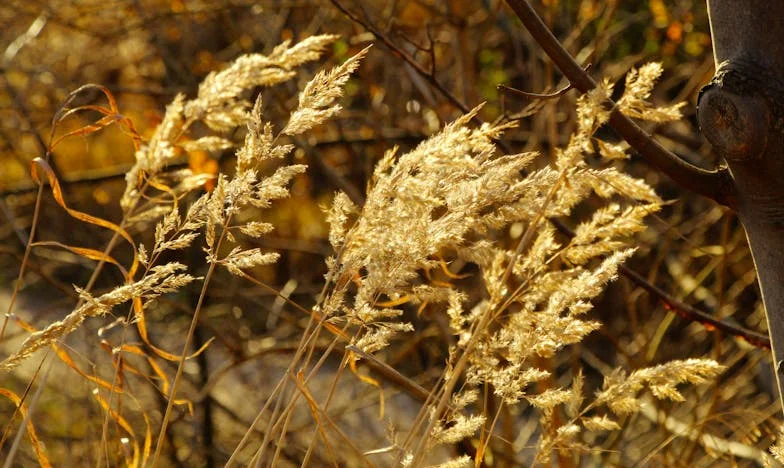 Nigdy więcej pod jednym dachem: Rodzinny obiad, który rozdarł nas na zawsze