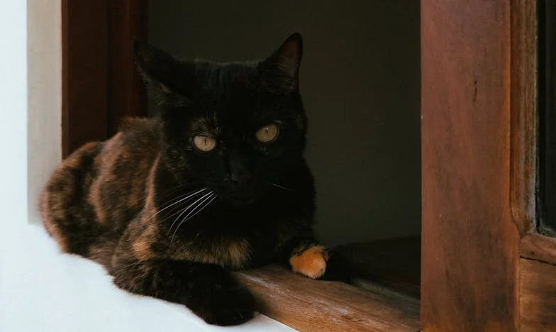 Obcy za drzwiami mojego mieszkania – granice, których nie wolno przekraczać