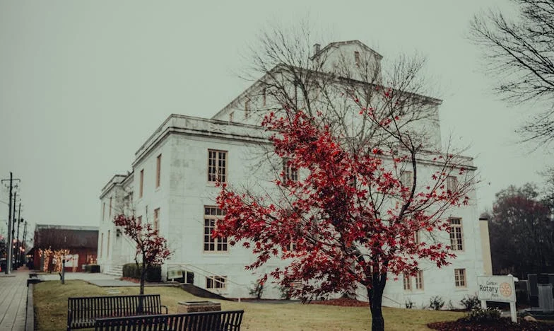 Obietnica pod światłami wesela: Czy poświęcenie matki to zdrada? Moja historia z Anią