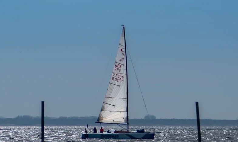 Siedem lat później: Historia pana Nowaka i zmarzniętego chłopca