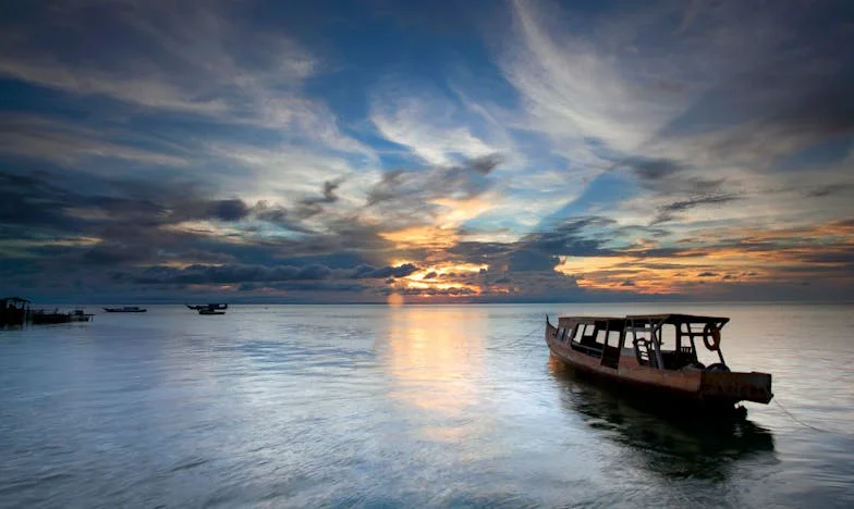 Skradzione dziedzictwo: Prawda, która rozdarła moją rodzinę