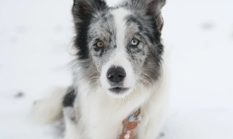 Teściowa postawiła mi ultimatum – a ja postawiłam wszystko na jedną kartę. Czy warto walczyć o siebie, nawet jeśli grozi to rozpadem rodziny?