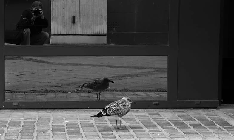 Testament, który rozdarł moją rodzinę: Czy można wybaczyć matce takie zranienie?