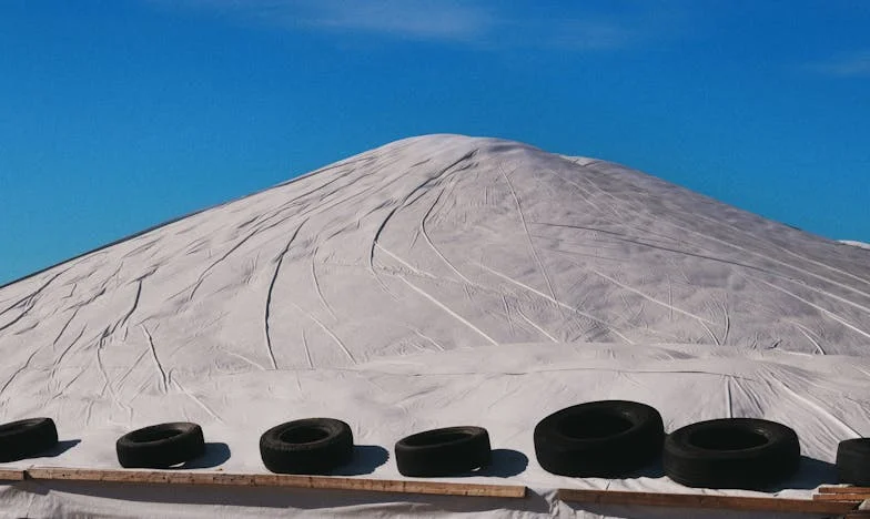 Ukryłam dokumenty, by powstrzymać ślub matki z moim rówieśnikiem. Nie żałuję!