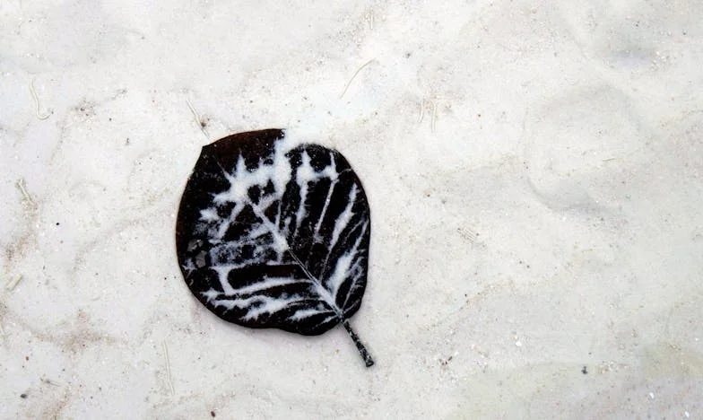 Uwięziona w Zaufaniu: Moje Życie Między Lękiem a Wolnością