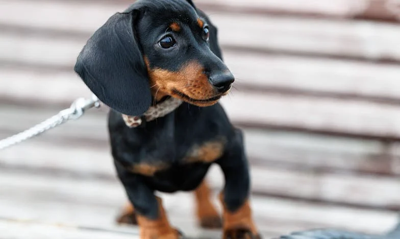 Zasłużona radość – historia Magdaleny z podwarszawskiej Pragi