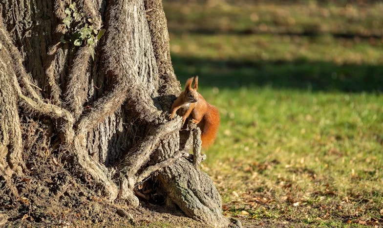 Całe życie pomagałam Basi. Gdy sama potrzebowałam wsparcia, odkryłam, że od lat mnie okradała. Moja historia zdrady i przebaczenia.