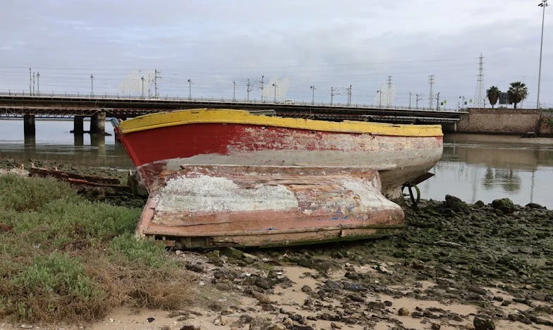 Cena zaufania: Jak mój zięć rozbił naszą rodzinę po rozwodzie z moją córką
