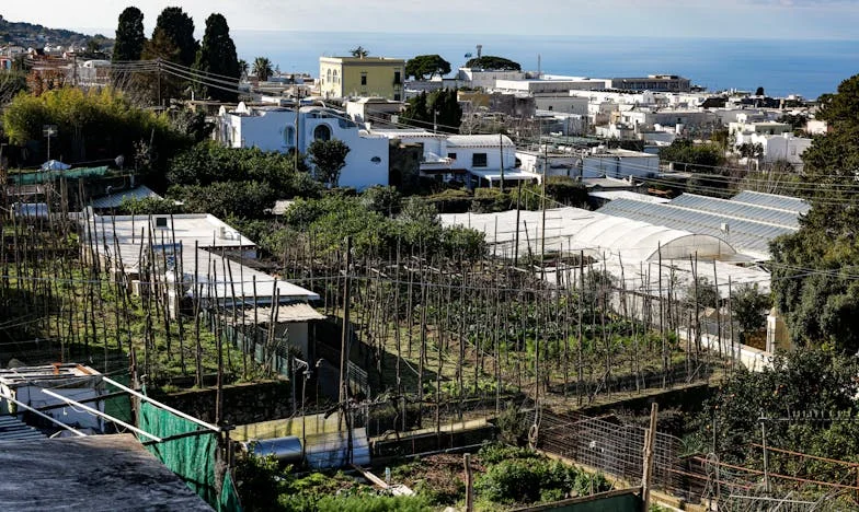 Córki były oczkiem w głowie, a teraz ja mam być opiekunką – historia o rodzinnych rozczarowaniach