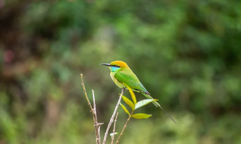Karmiłeś mnie obietnicami, a on kolacją: historia o stracie