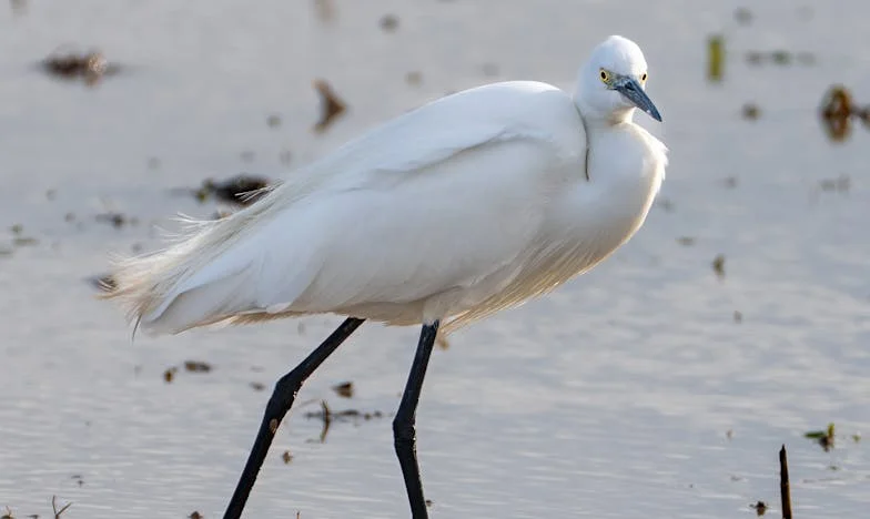 Kiedy Mama Zadzwoniła z Wiadomością o Rodzinnym Spotkaniu, Mogłam Milczeć. Ale Tym Razem Wybrałam Inaczej