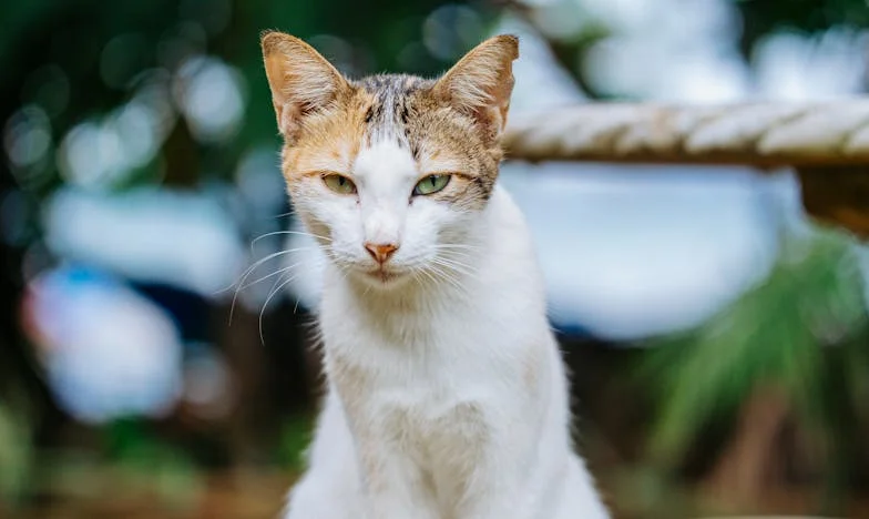 Kiedy tata odszedł – trzydzieści lat później wrócił. Historia Michała