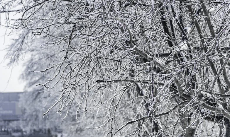 „Mamo, od dziś śpisz w kuchni!” – Historia upokorzenia i odzyskiwania godności polskiej matki