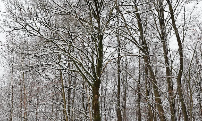 Między młotem a kowadłem: Jak moja teściowa próbowała zniszczyć moje małżeństwo