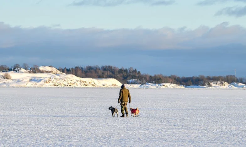 Między stołem a godnością: Historia polskiej synowej, która powiedziała „dość”