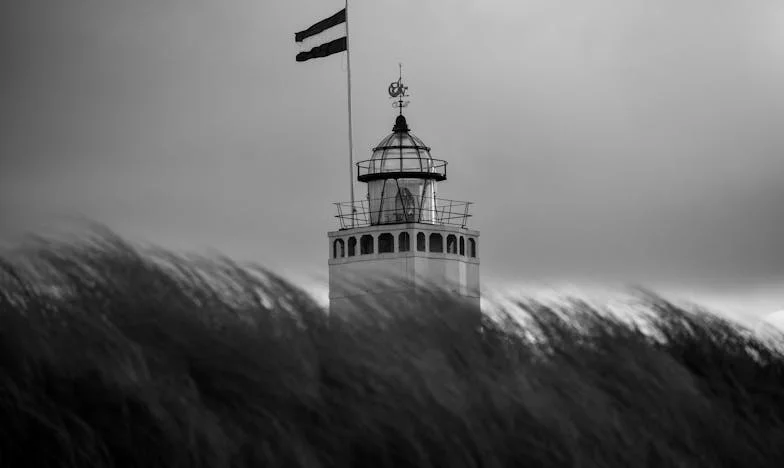 Miłość, która przyszła na czterech łapach: Historia o tym, jak pies zmienił moje życie