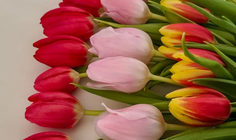 Modlitwa w burzy: Niedziela, która zmieniła wszystko