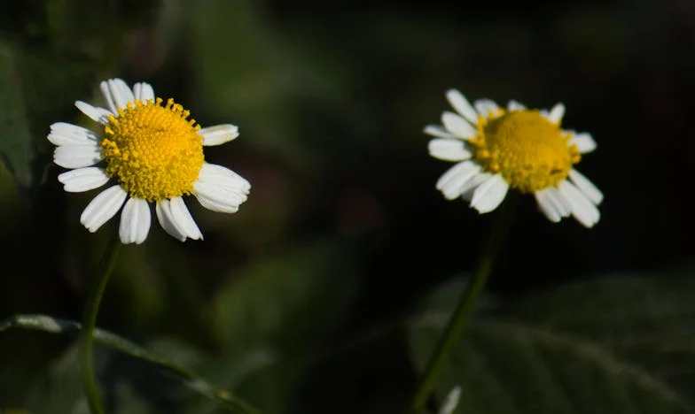 Musiałam cię puścić, bym mogła się narodzić – Moja walka z niepłodnością, rozwodem i nowym początkiem