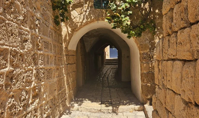 Ostatnia szansa: Historia upadku i nadziei w polskiej rodzinie