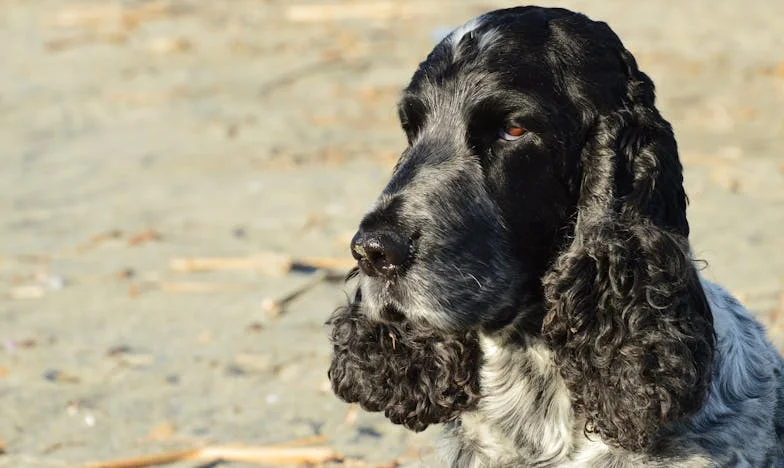 Po 55. urodzinach mąż przestał wracać do domu na noc. Powiedział, że potrzebuje przestrzeni – a potem zobaczyłam ich razem w galerii handlowej