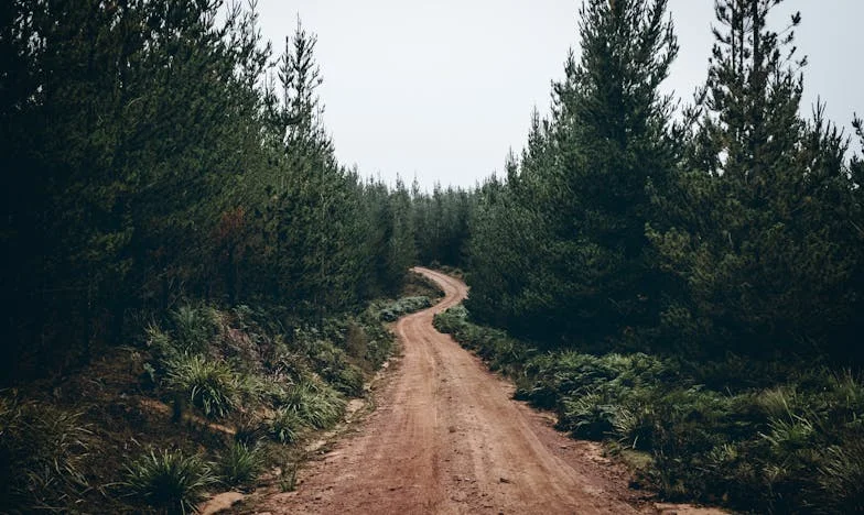 Po ślubie: Między miłością a cieniem mojej teściowej