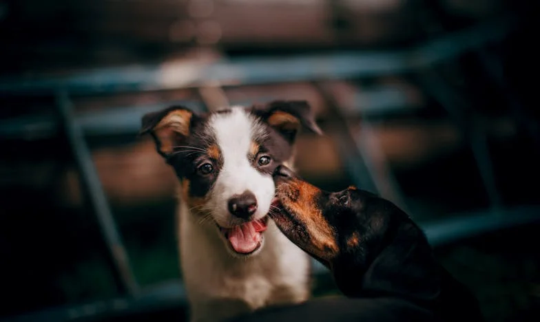 Sprzedaj mieszkanie, żeby zadowolić rodzinę? Moja walka o dom i godność