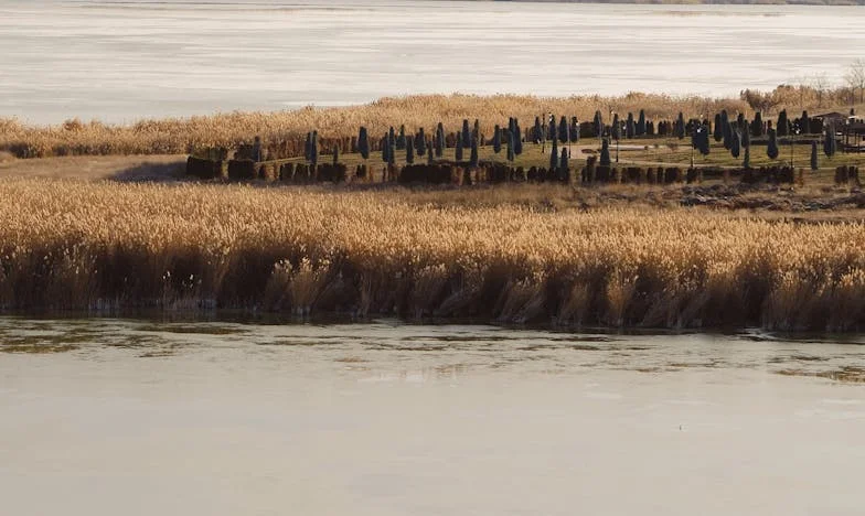Wszystko dla niej: poświęcenie córki