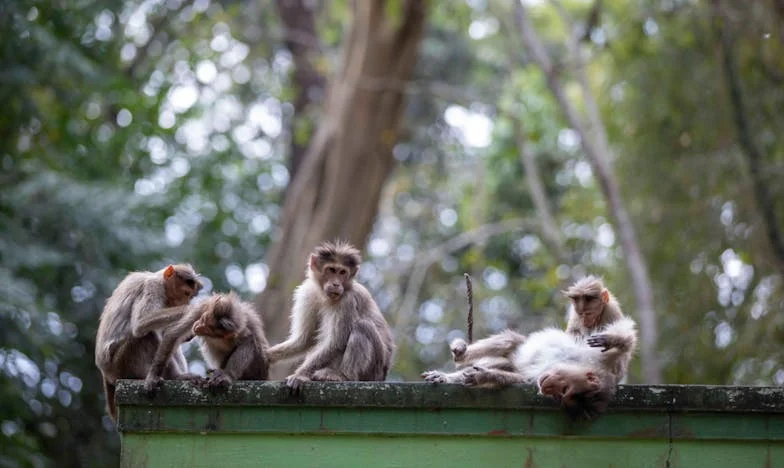 Zatrzymana w miejscu: Moje życie z mamą, której nie potrafię zostawić