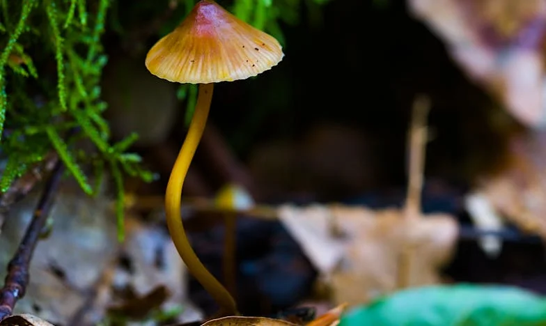 Faktura za miłość: Kiedy małżeństwo staje się rozliczeniem