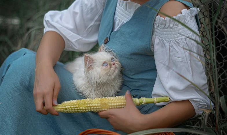 Kiedy poprosiłam teściową o pomoc: Odpowiedź, która zmieniła moje życie