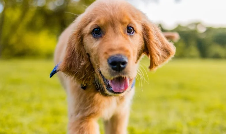 Nie wiedziałam, czy przeżyje tę noc — a on leżał przy mnie, drżącym ciałem grzejąc moją zimną dłoń…
