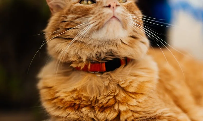 W dniu, w którym podpisałam papiery rozwodowe, nie uroniłam ani jednej łzy. Historia Elżbiety, która odzyskała siebie po zdradzie