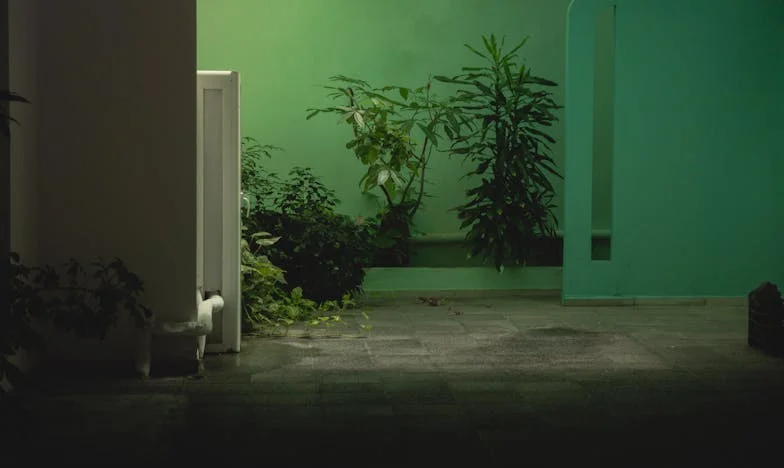 Wstydzę się własnej córki: Historia matki, która została odrzucona przez najbliższą osobę