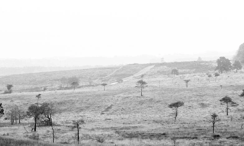 "Zemsta Joanny: Jak jedna matka rozpaliła iskrę buntu na polskim folwarku"