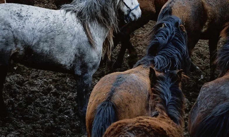 Dzieci to nie rośliny – same nie wyrosną: Moja siostra, jej obojętność i rodzinna katastrofa