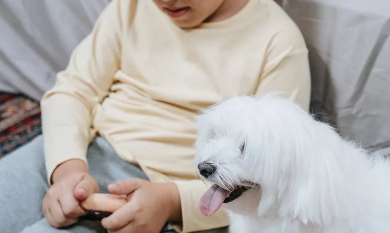 Kiedy mój pies wgryzł się w rękaw policjanta, zrozumiałam, że to nie mieszkanie mnie trzyma przy życiu