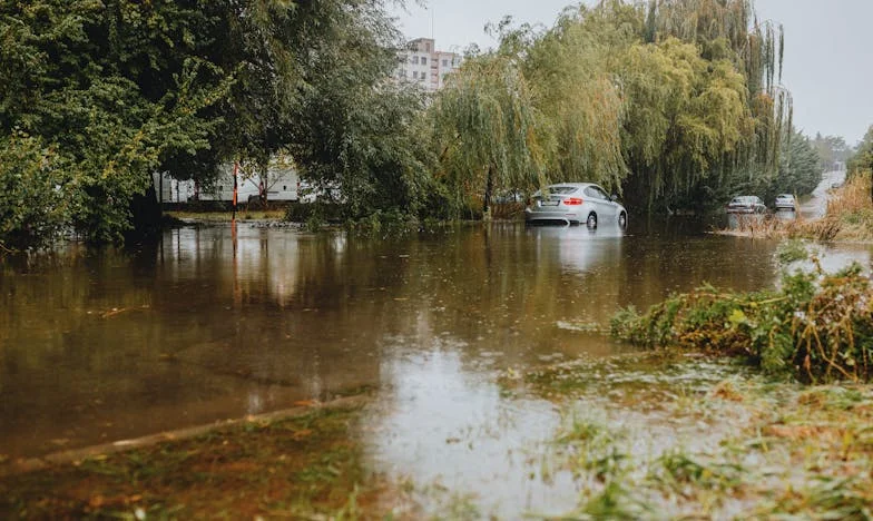 Kiedy Rodzice Odchodzą, Zostaje Tylko Cisza. Czy Naprawdę Warto Było Się Upierać?