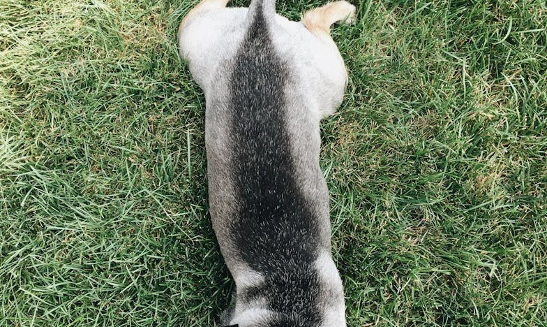 Kiedy zupa pachniała jak kiedyś, a krew na kafelkach mówiła co innego
