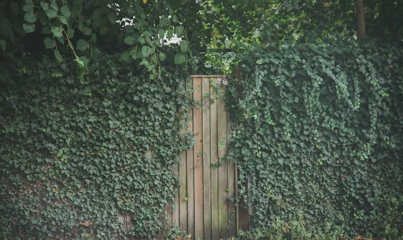 Kołyska wspomnień: Wózek, który rozdzielił naszą rodzinę